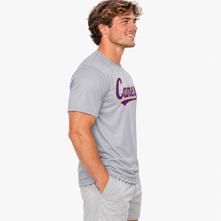 All-Star Canes Gray Performance Tee