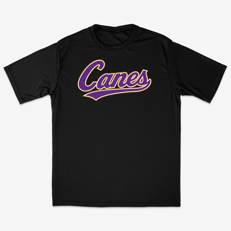 All-Star Canes Black Performance Tee