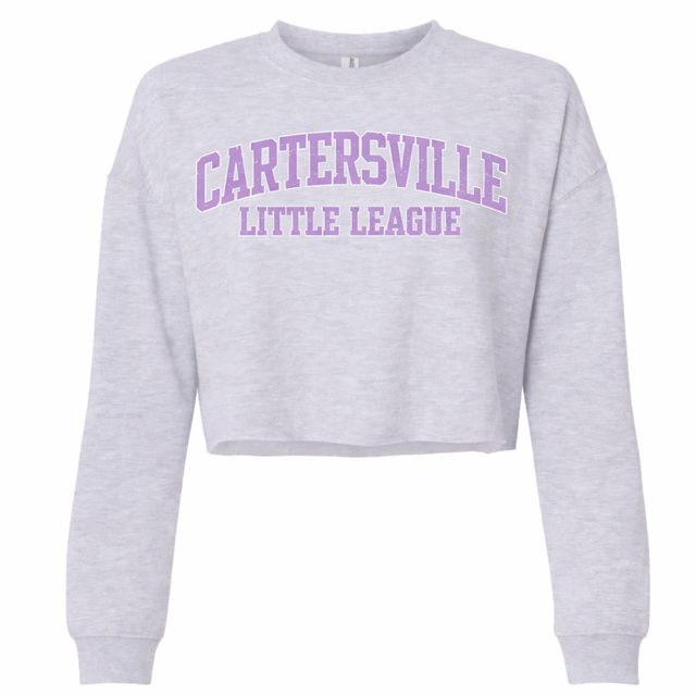 Cartersville Baseball