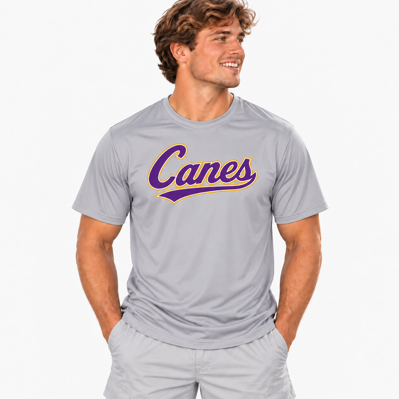 All-Star Canes Gray Performance Tee