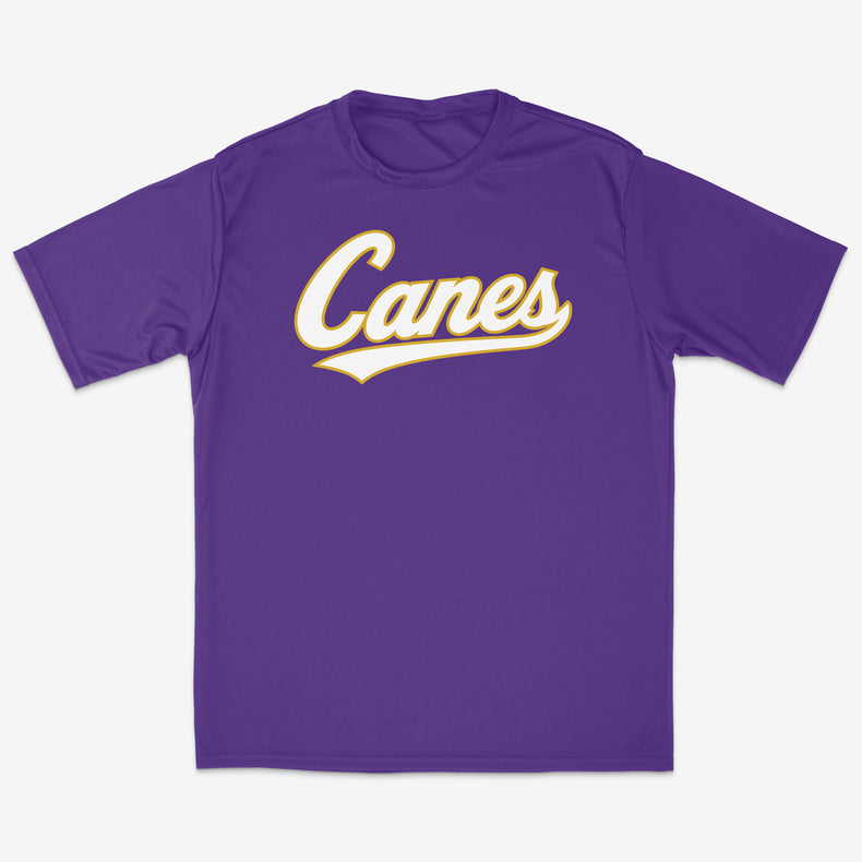All-Star Canes Performance Tee